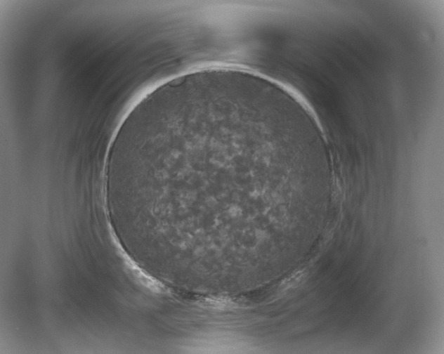 X0000080700911200612151311