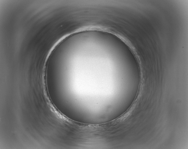 X0000080700912200612151311