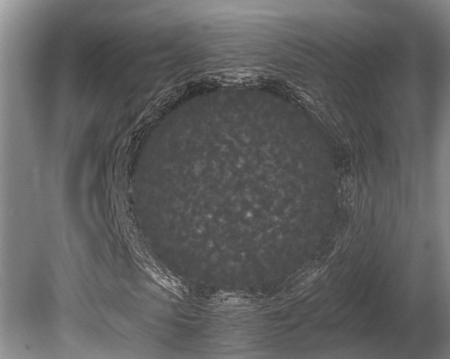 X0000080700913200612151310
