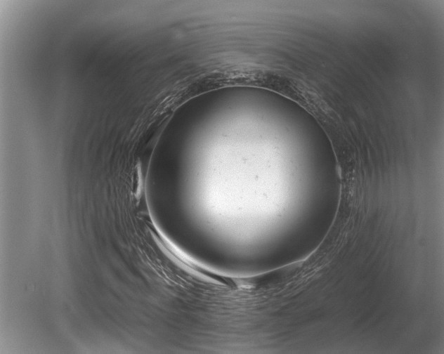 X0000080700916200612151310
