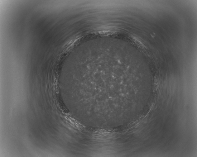 X0000080700917200612151310