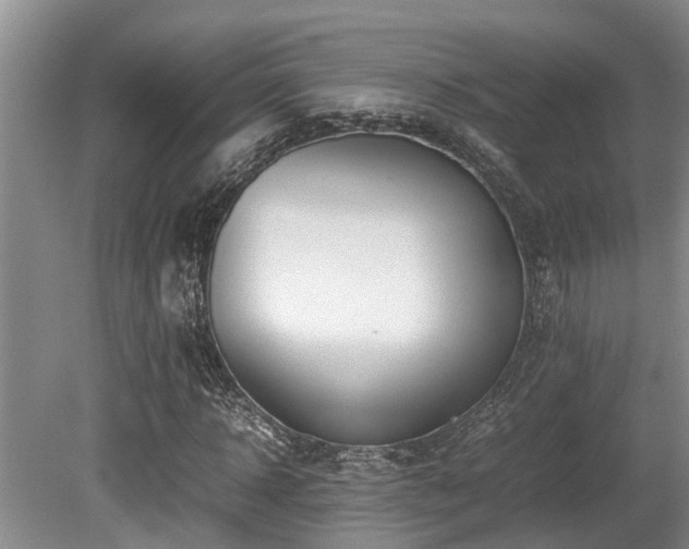 X0000080700918200612151310