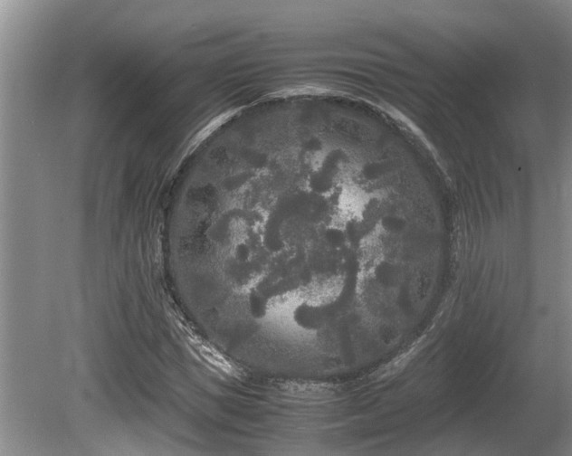 X0000080700921200612151311