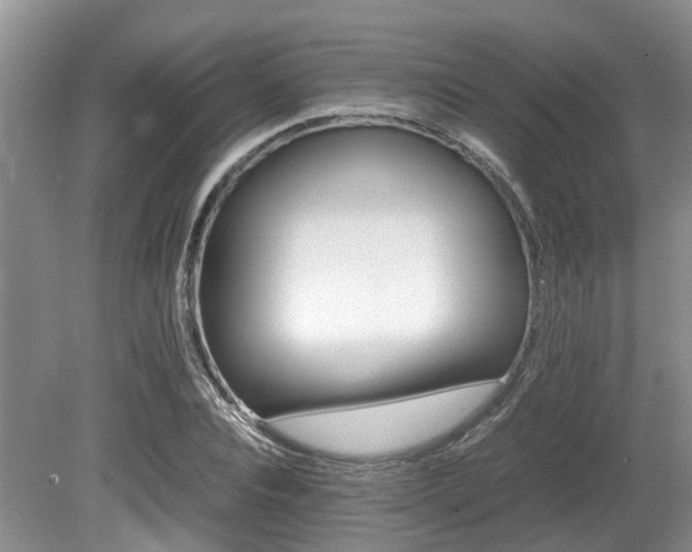 X0000080700928200612151311