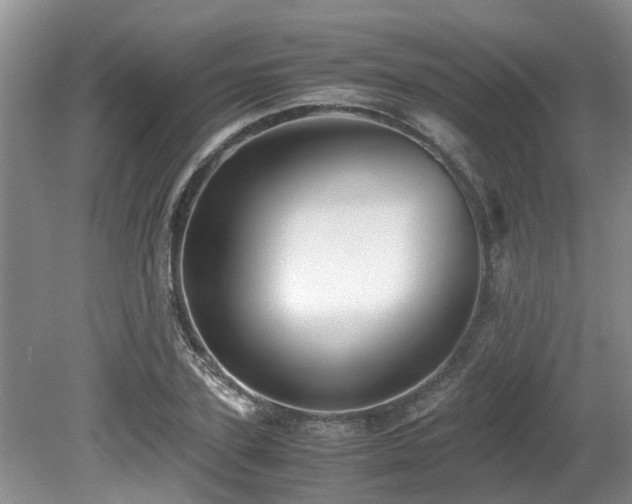 X0000080700931200612151311