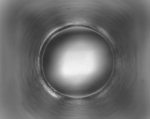 X0000080700932200612151311