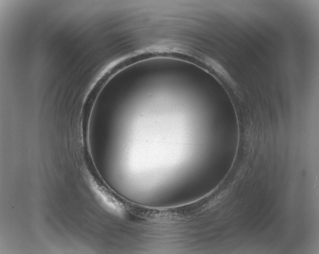 X0000080700934200612151311