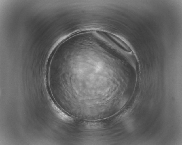 X0000080700941200612151311