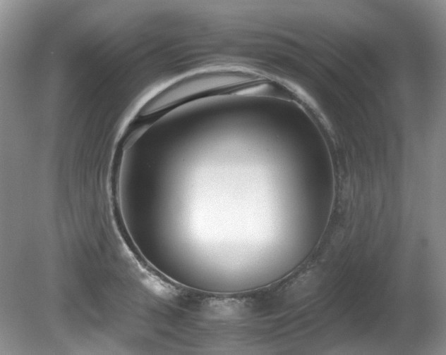 X0000080700943200612151311
