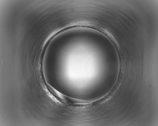 X0000080700944200612151311