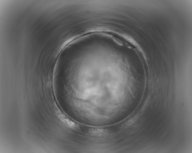 X0000080700945200612151311