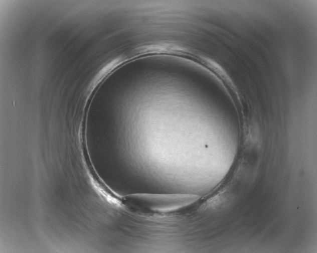 X0000080700946200612151311