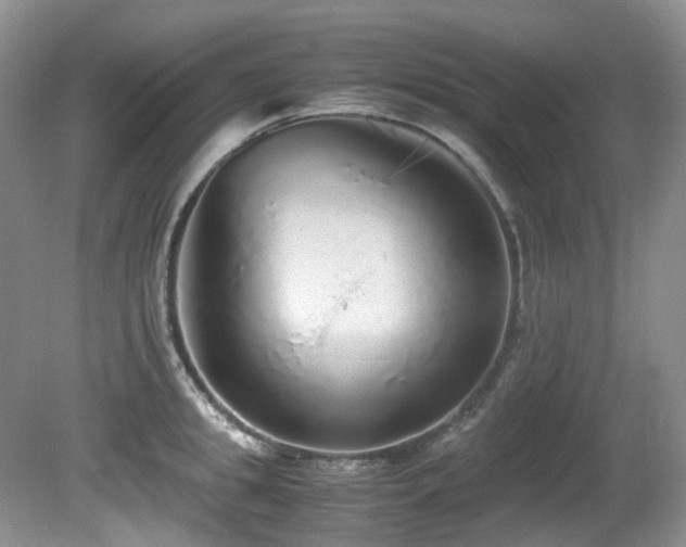 X0000080700949200612151311