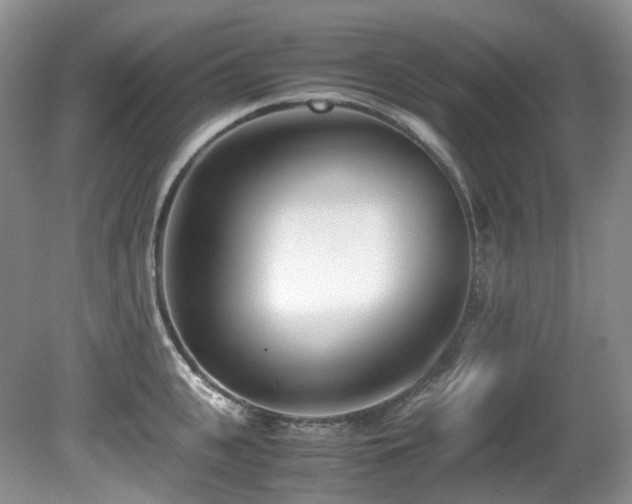 X0000080700951200612151311