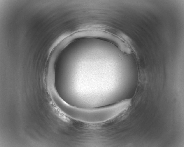 X0000080700952200612151311