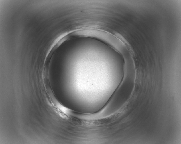 X0000080700956200612151311