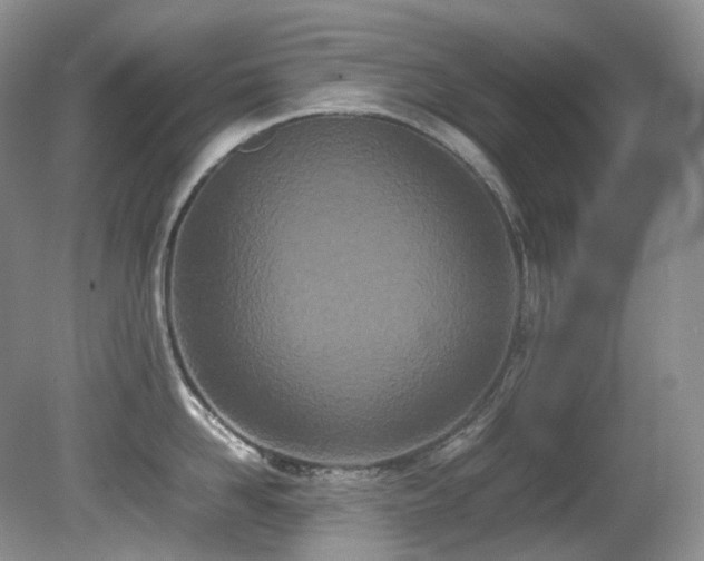X0000080700958200612151311