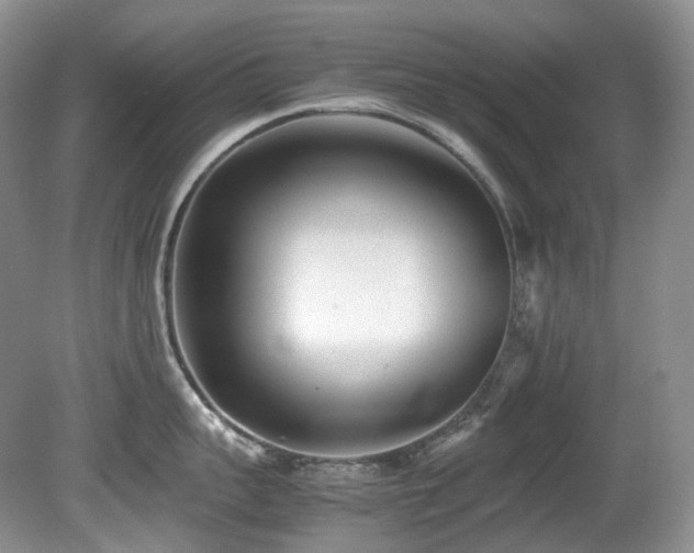 X0000080700959200612151311