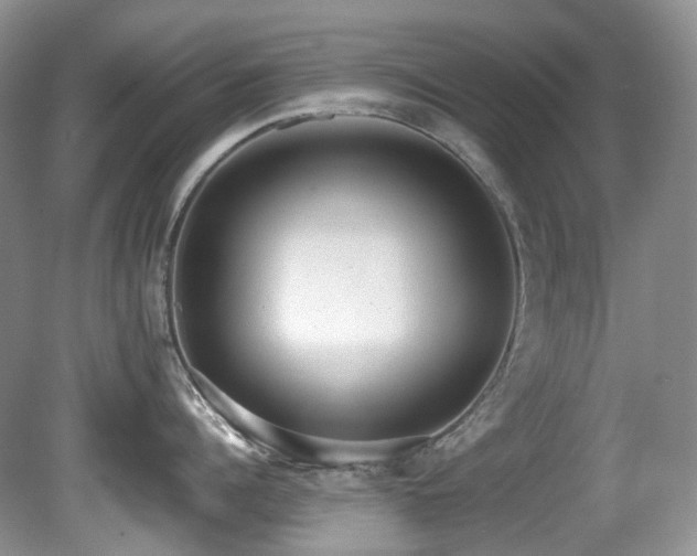X0000080700960200612151311
