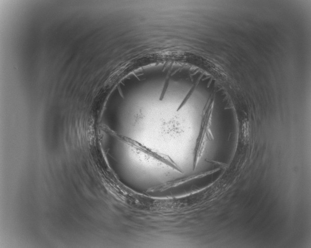 X0000080700963200612151310