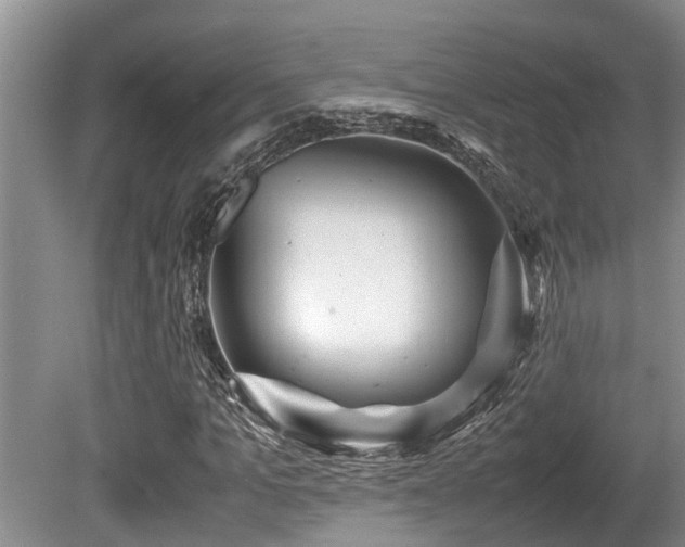 X0000080700965200612151310