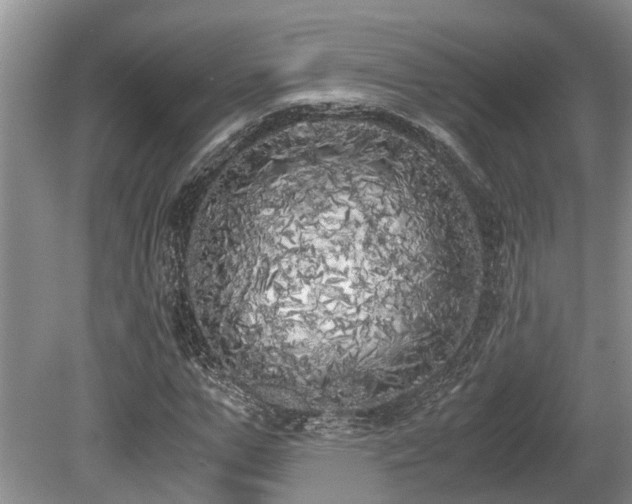 X0000080700967200612151310