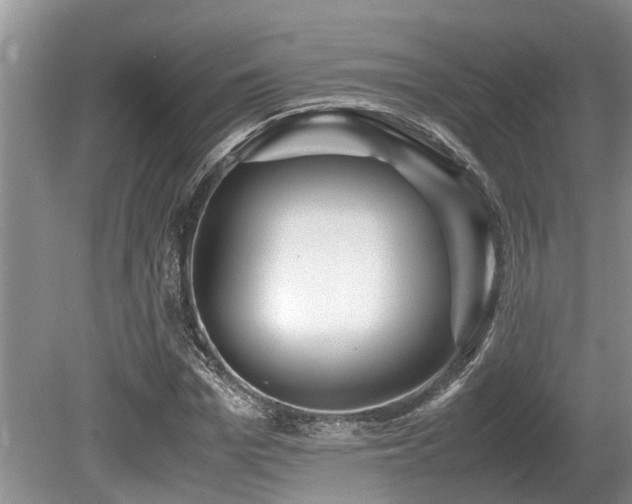 X0000080700969200612151310