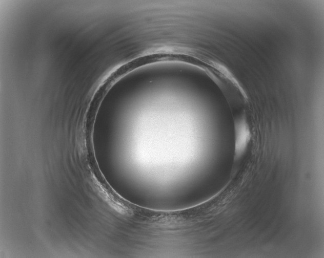 X0000080700972200612151310