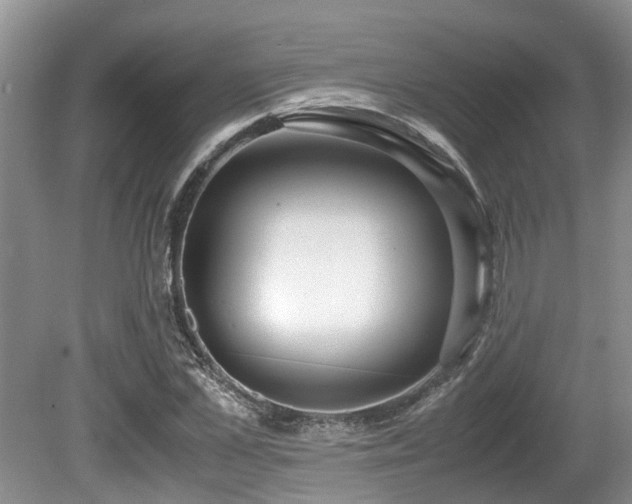 X0000080700973200612151310