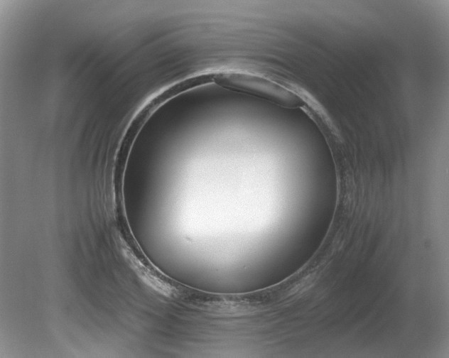 X0000080700980200612151310