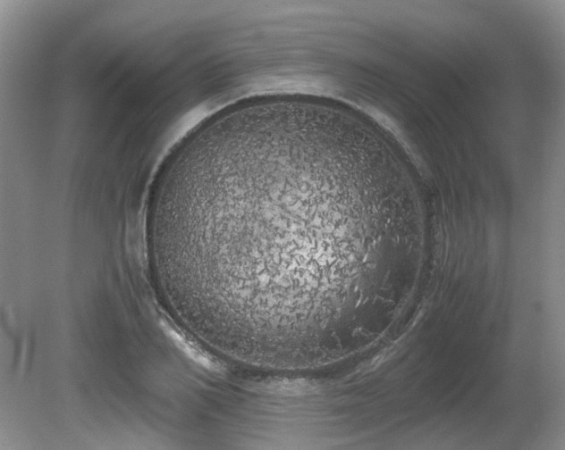 X0000080700982200612151310