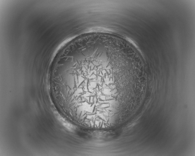 X0000080700987200612151310