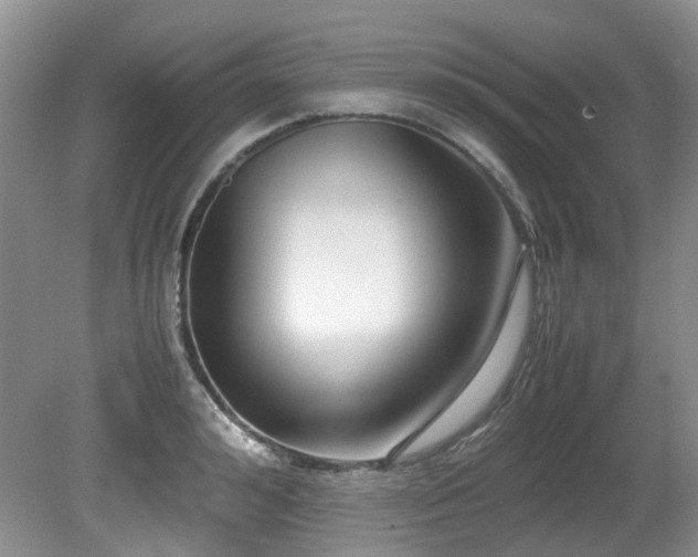 X0000080700992200612151310