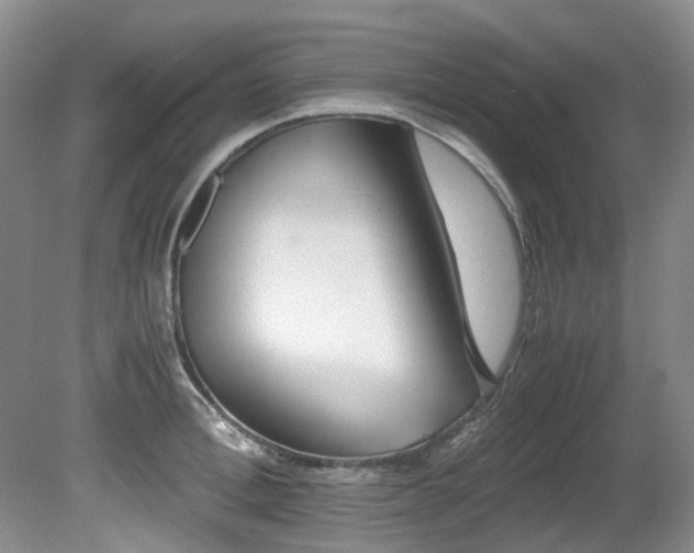 X0000080700996200612151310