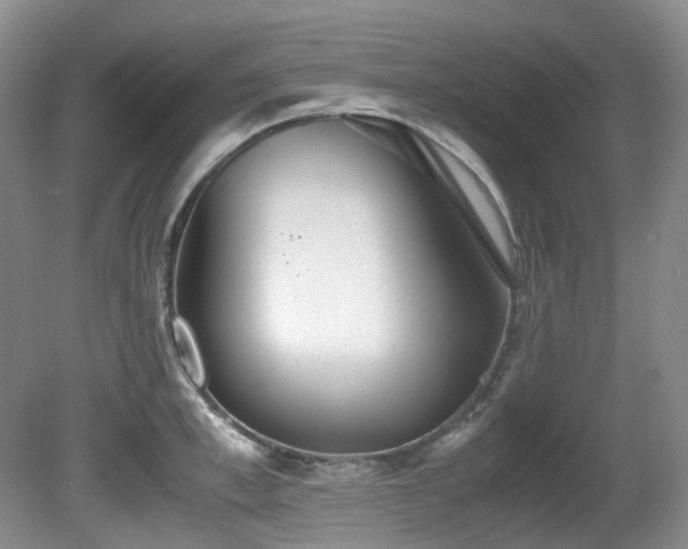 X0000080700997200612151310