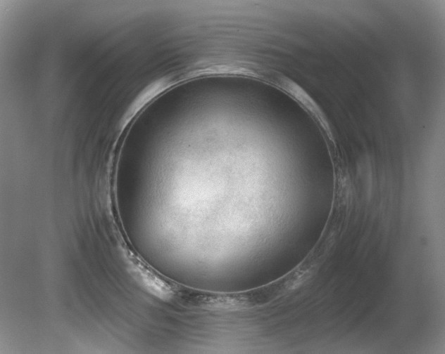 X0000080701002200612151310
