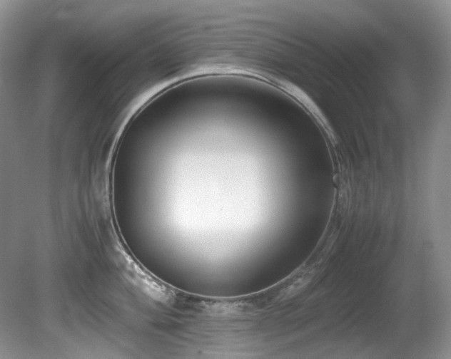 X0000080701004200612151310
