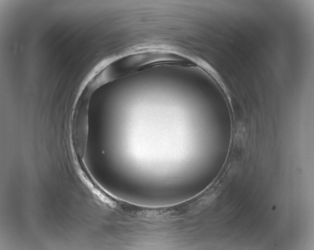 X0000080701005200612151310