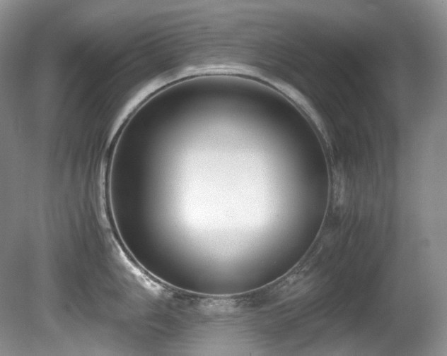 X0000080701006200612151310