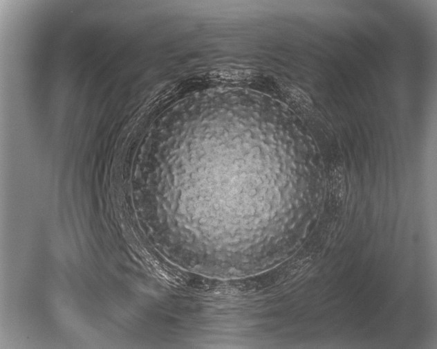 X0000080701009200612151309