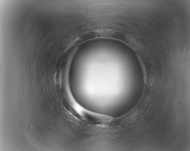 X0000080701010200612151309