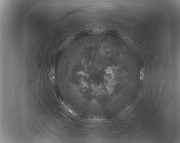 X0000080701011200612151309
