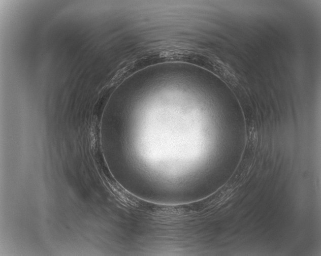 X0000080701012200612151309