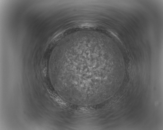 X0000080701015200612151309
