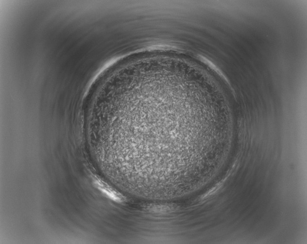 X0000080701021200612151309