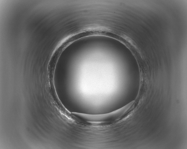 X0000080701022200612151309