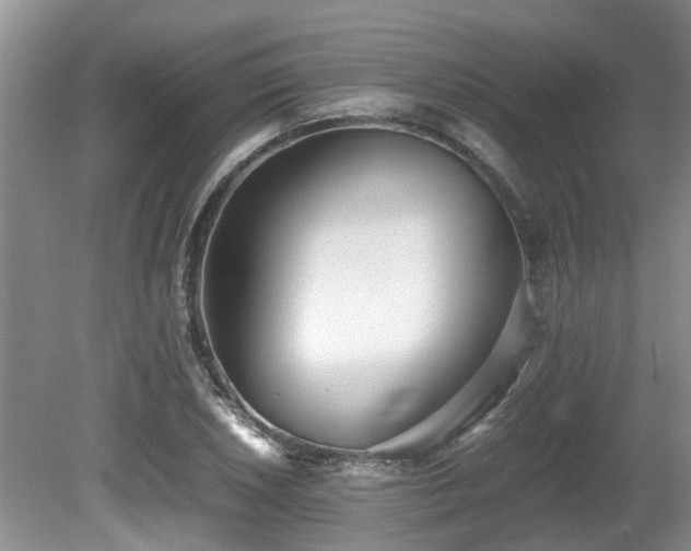 X0000080701026200612151309