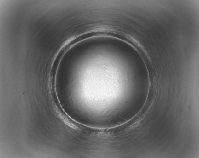 X0000080701029200612151309