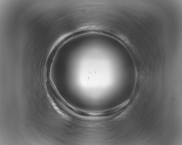 X0000080701030200612151309