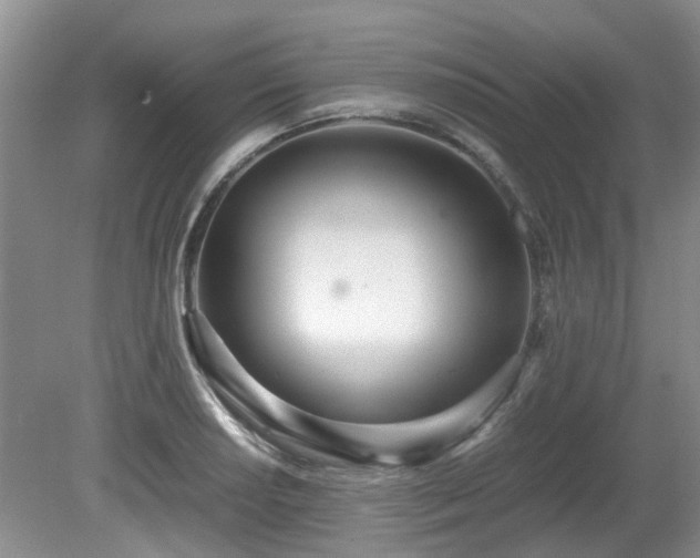 X0000080701034200612151309